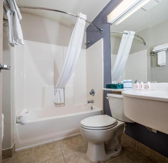 디럭스 룸, Microtel Inn & Suites By Wyndham Palm Coast I95