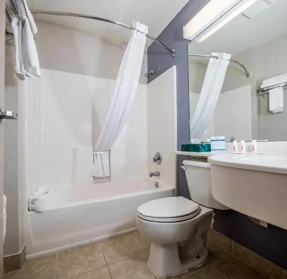 デラックスルーム, Microtel Inn & Suites By Wyndham Palm Coast I95
