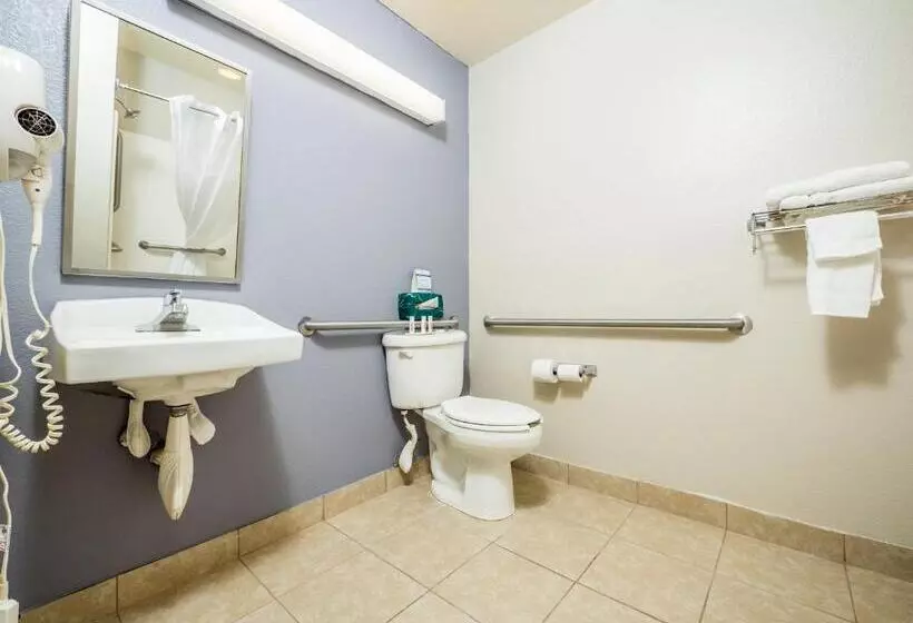 身障者適用スタンダードルーム, Microtel Inn & Suites By Wyndham Palm Coast I95