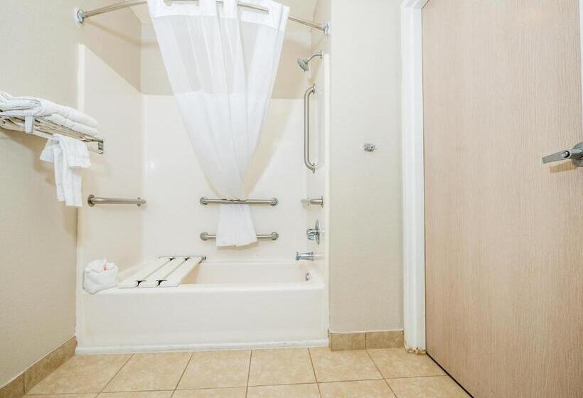 장애인을 위한 스탠다드 룸, Microtel Inn & Suites By Wyndham Palm Coast I95