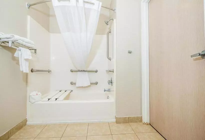 身障者適用スタンダードルーム, Microtel Inn & Suites By Wyndham Palm Coast I95