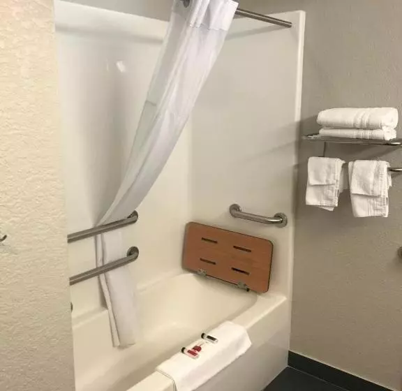 身障者適用クイーンサイズベッドルーム, Microtel Inn & Suites Urbandale