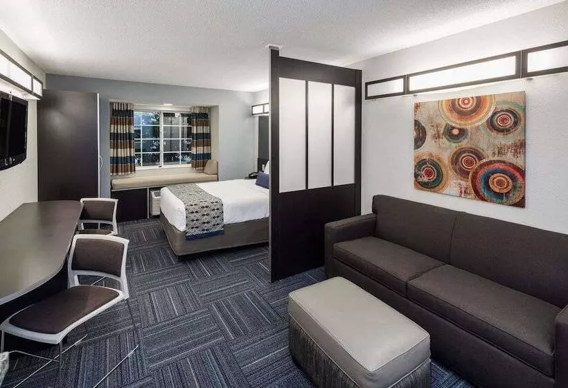 スイート, Microtel Inn & Suites By Wyndham Greenville / Woodruff Rd