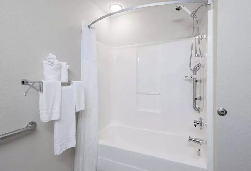 身障者適用スタンダードルーム, Microtel Inn & Suites By Wyndham Greenville / Woodruff Rd