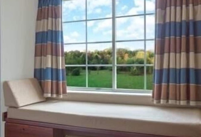 Pokój Typu Standard Przystosowany dla Osób Niepełnosprawnych, Microtel Inn & Suites By Wyndham Greenville / Woodruff Rd