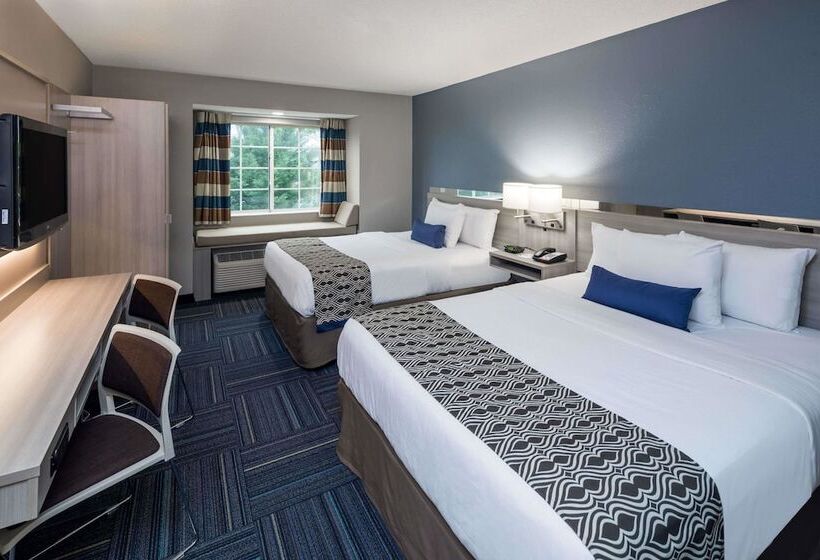 장애인을 위한 스탠다드 룸, Microtel Inn & Suites By Wyndham Greenville / Woodruff Rd