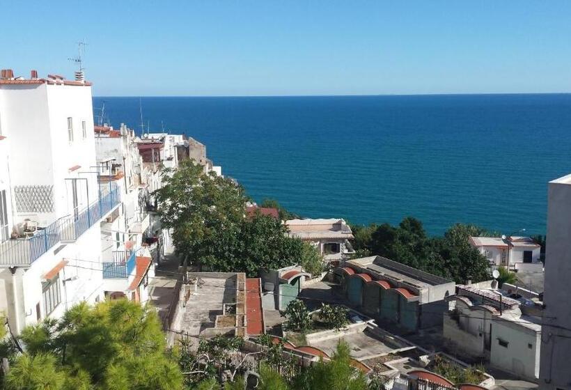 带大床的标准间, B&b Celestina Peschici