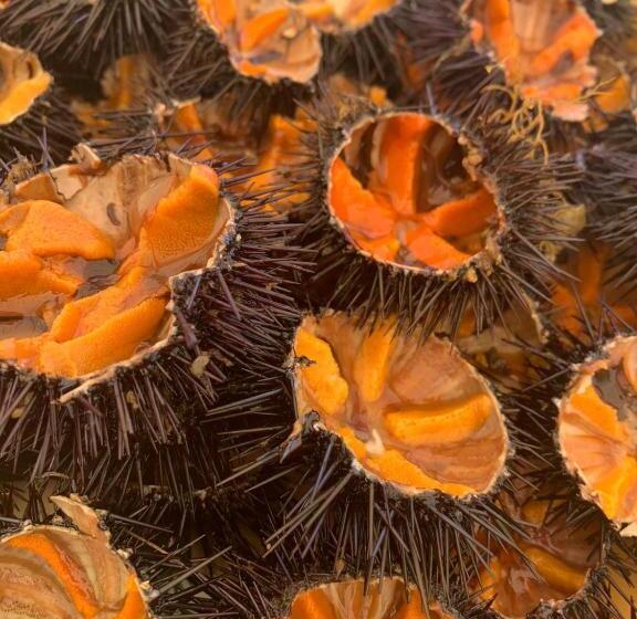 标准间, B&b Celestina Peschici