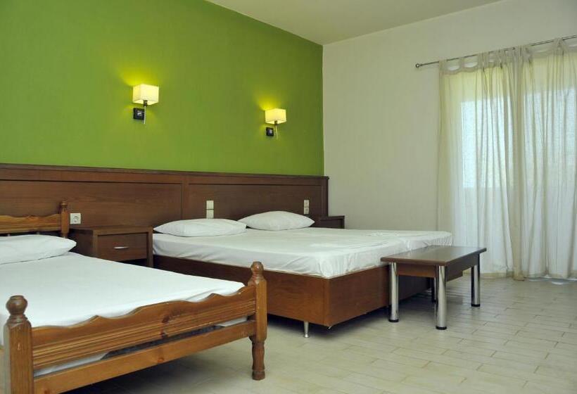 חדר סטנדרט לשלושה, Elina