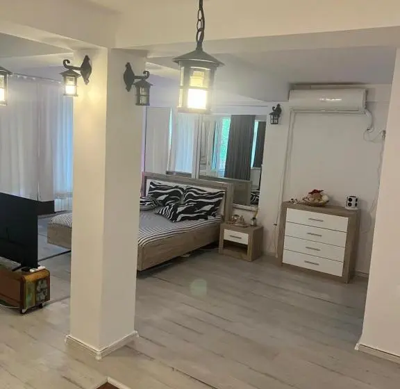 استودیوی استاندارد, Vila Alga