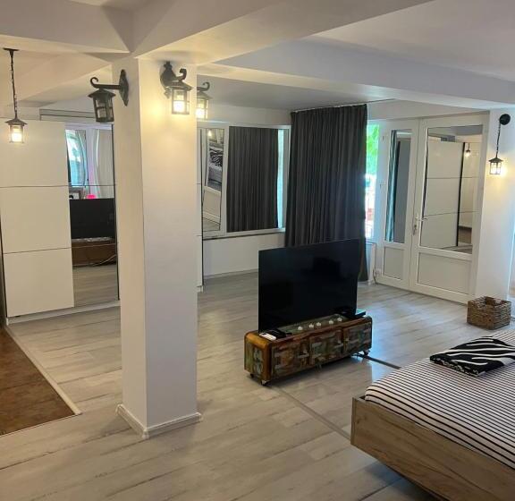 Студия Стандарт, Vila Alga