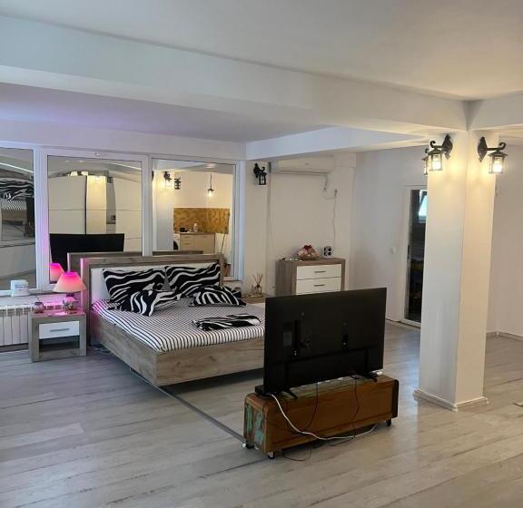 Студия Стандарт, Vila Alga