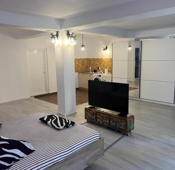 Студия Стандарт, Vila Alga