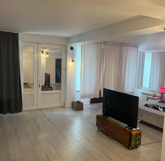 Студия Стандарт, Vila Alga