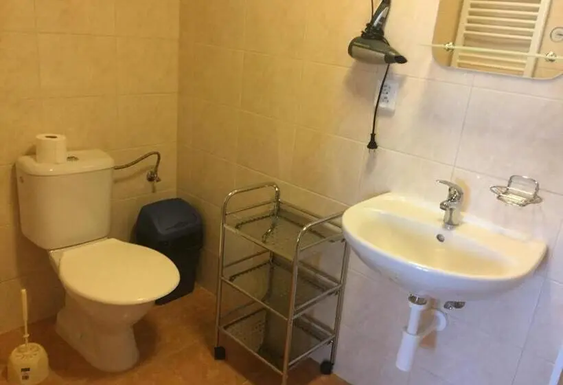 اتاق سوپریور با تخت بزرگ, Penzion  Leslav