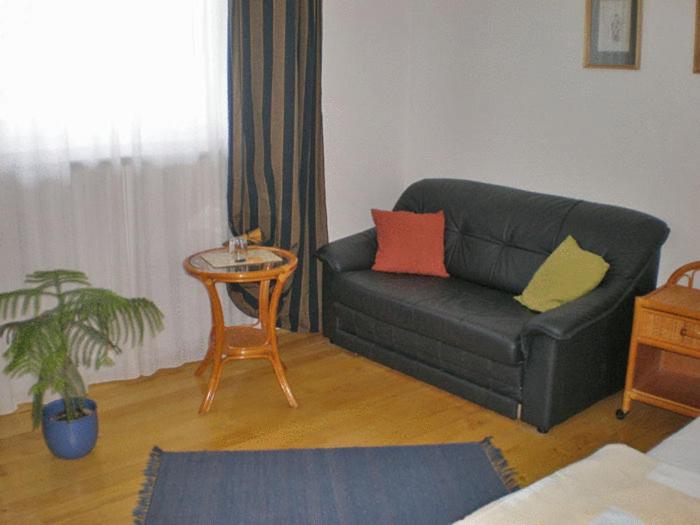 标准单人间, Galéria Panzió