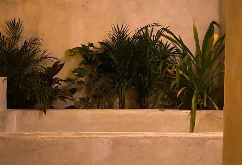 جناح, Monte Uzulu Boutique