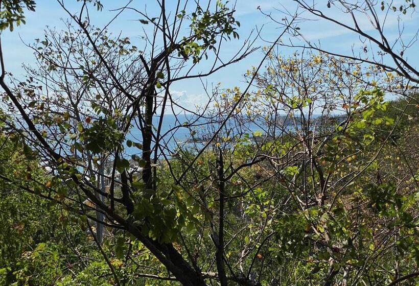 جناح, Monte Uzulu Boutique