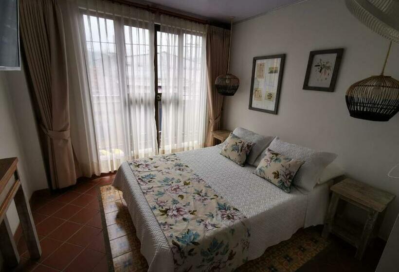 标准间, Apolonia Boutique