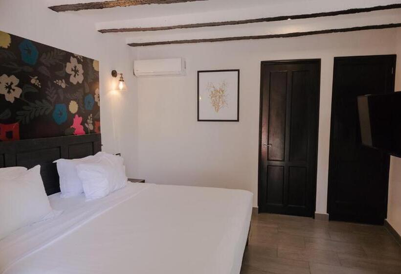 小型套房, Maria Bonita