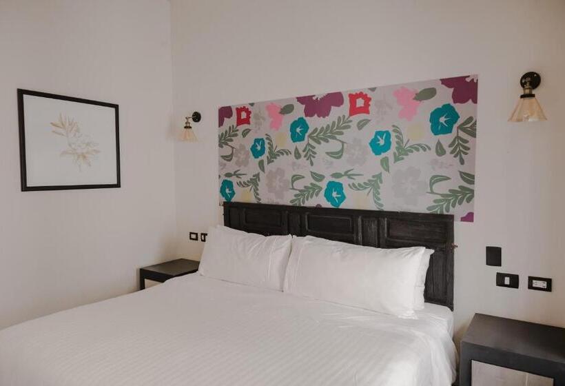 小型套房, Maria Bonita