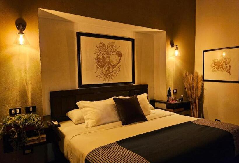 高级套房, Maria Bonita