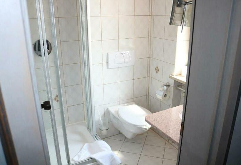 スタンダードシングルルーム, Seehotel Pegasus