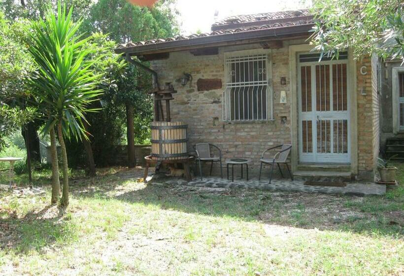 标准工作室, Agriturismo Il Casotto