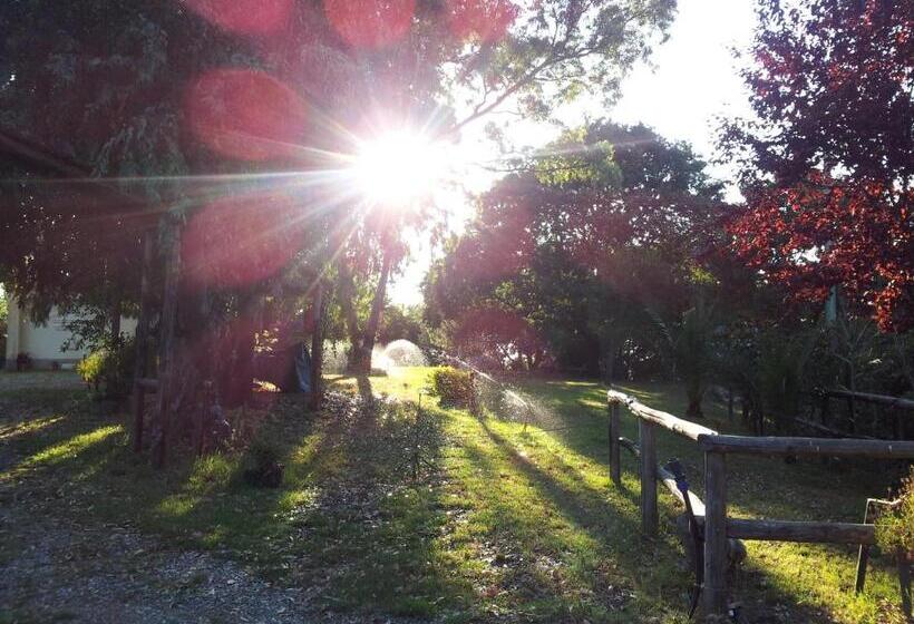 带1个卧室带花园景观的公寓, Agriturismo Il Casotto