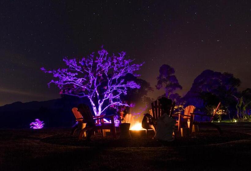 ジュニアスイート, Montana Glamping Salento