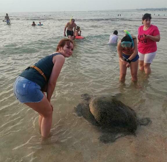 Номер Стандарт, New Sea Lion Guest House