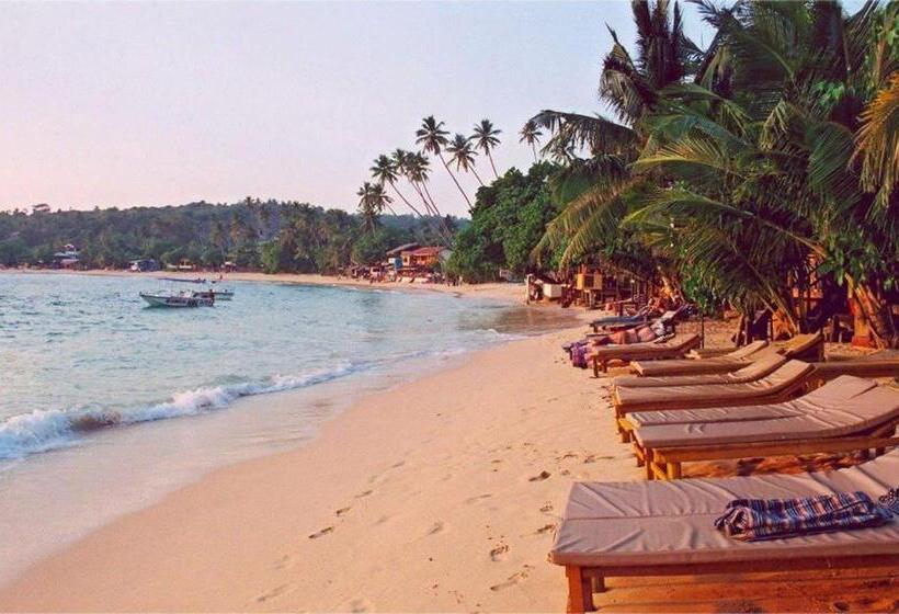 Номер Стандарт Трехместный, New Sea Lion Guest House