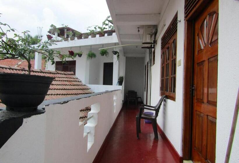 Номер Стандарт Трехместный, New Sea Lion Guest House