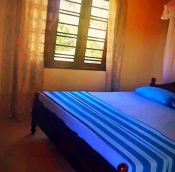 Номер Стандарт, New Sea Lion Guest House