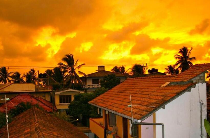 Номер Стандарт, New Sea Lion Guest House