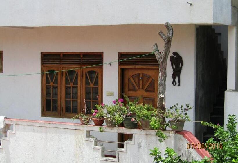 Номер Стандарт, New Sea Lion Guest House