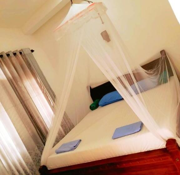 Апартаменты 1 Спальня с Балконом, New Sea Lion Guest House