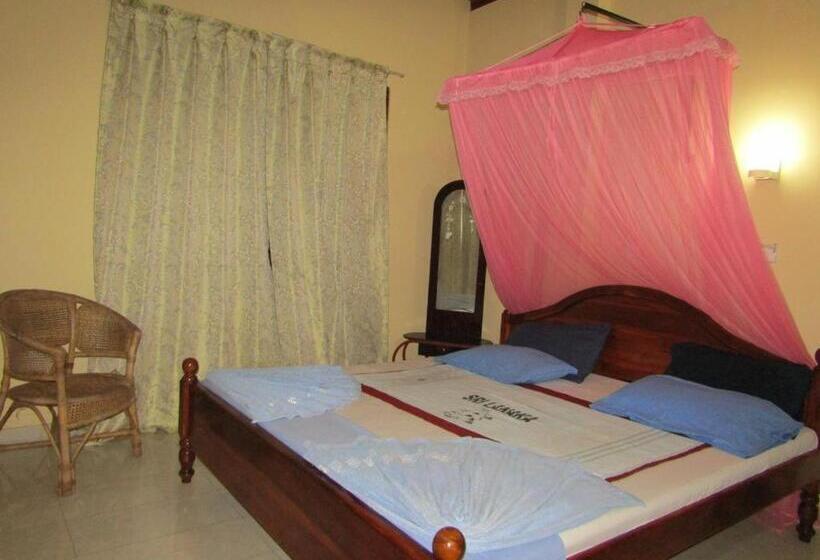 Номер Стандарт, New Sea Lion Guest House