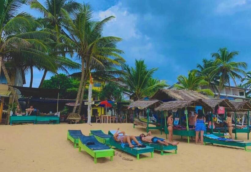 Номер Стандарт, New Sea Lion Guest House