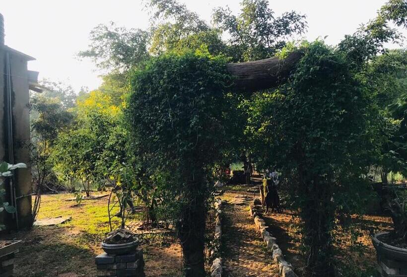 Номер Стандарт Вид на Озеро, Aliya Riverside & Safari Resort