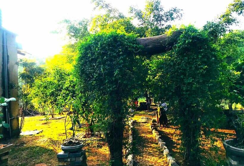 带大床的标准间, Aliya Riverside & Safari Resort