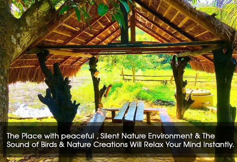 Номер Стандарт Вид на Озеро, Aliya Riverside & Safari Resort