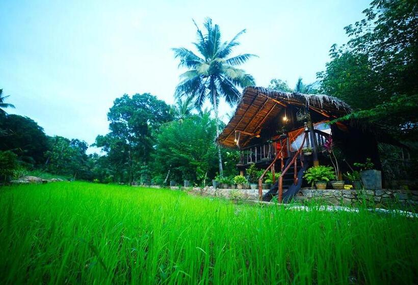 Стандартный Номер Кровать Кинг, Aliya Riverside & Safari Resort