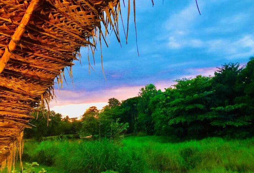 Стандартный Номер Кровать Кинг, Aliya Riverside & Safari Resort