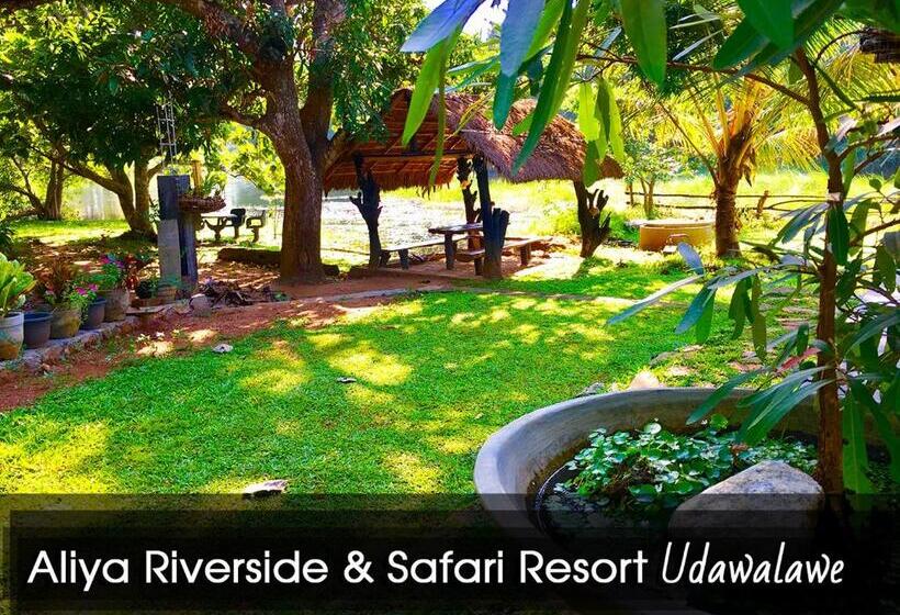 Стандартный Номер Кровать Кинг, Aliya Riverside & Safari Resort