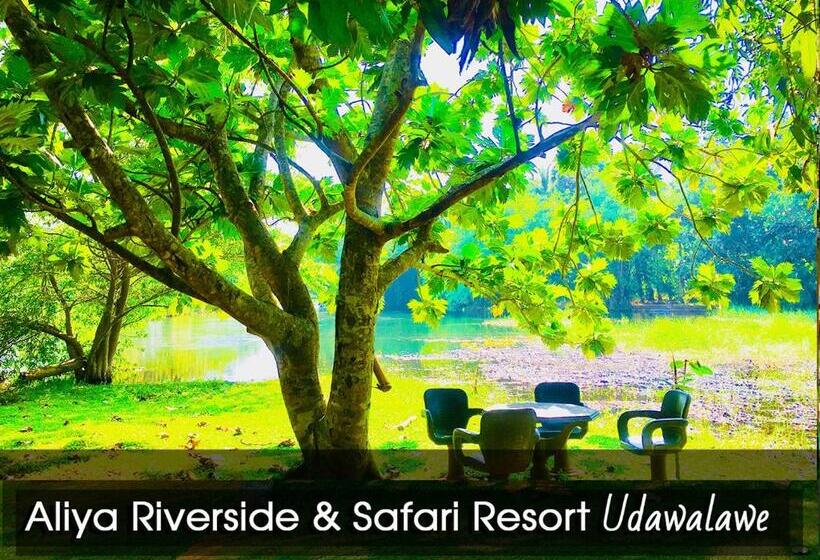 带大床的标准间, Aliya Riverside & Safari Resort