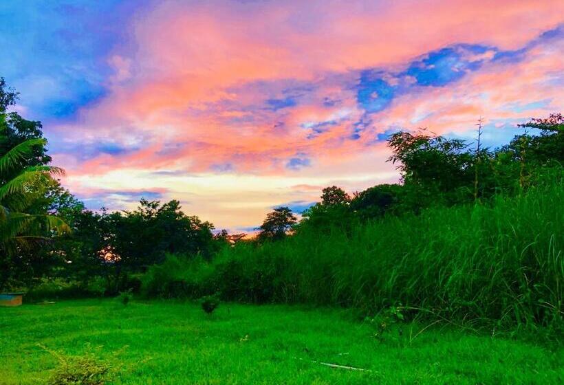 Стандартный Номер Кровать Кинг, Aliya Riverside & Safari Resort