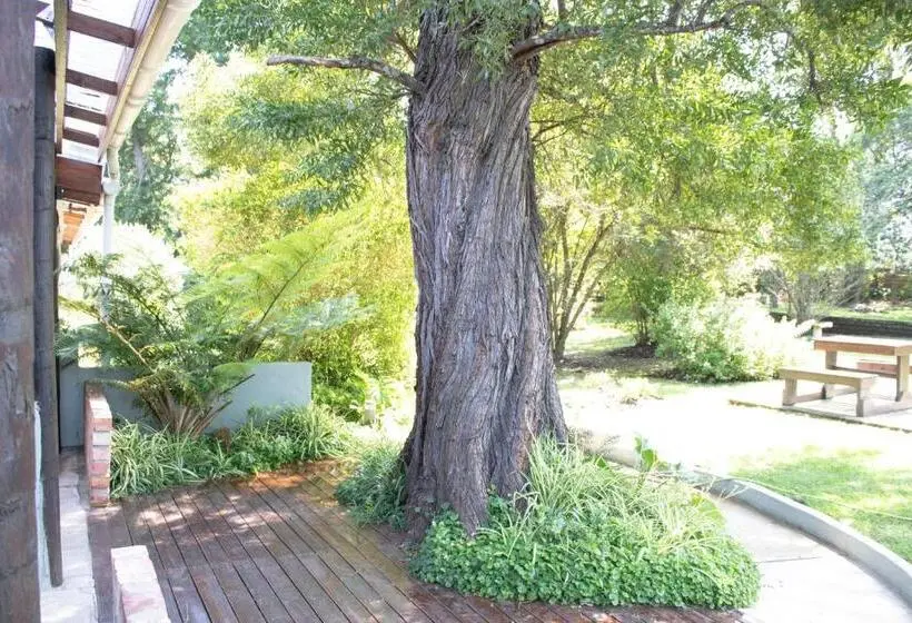 エコノミールーム, Andelomi Nature's Rest