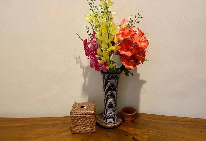 デラックスルーム, Dikubu Belong Seminyak