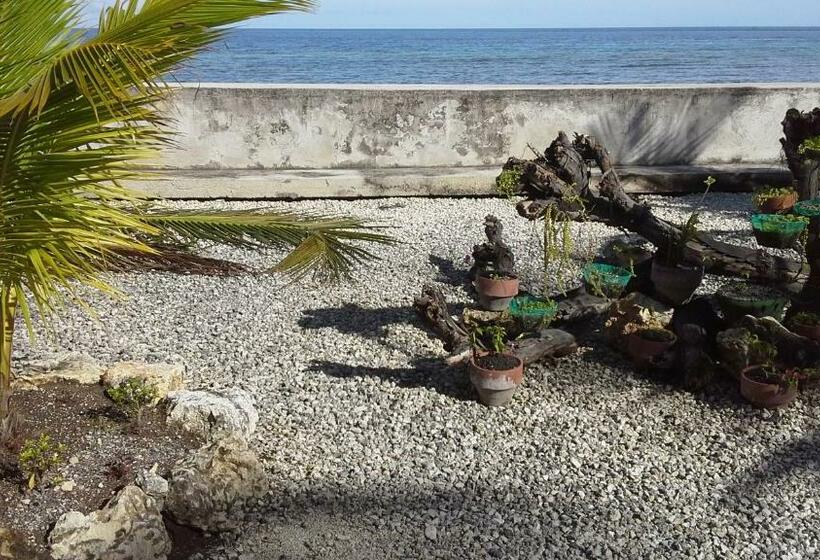 Номер Стандарт, House Rapunzel